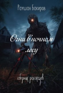 Огни в ночном лесу — Раушан Бакиров