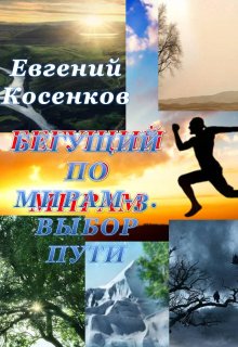 Бегущий по мирам-3. Выбор пути — Евгений Косенков (Sib333)